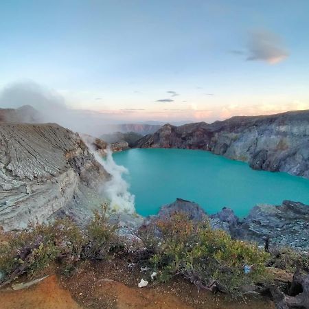 Javalindra Homestay Tour And Travel Banyuwangi  Dış mekan fotoğraf