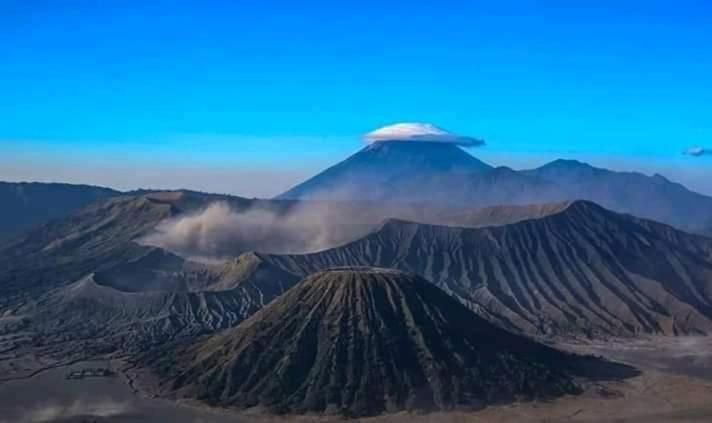 Javalindra Homestay Tour And Travel Banyuwangi  Dış mekan fotoğraf