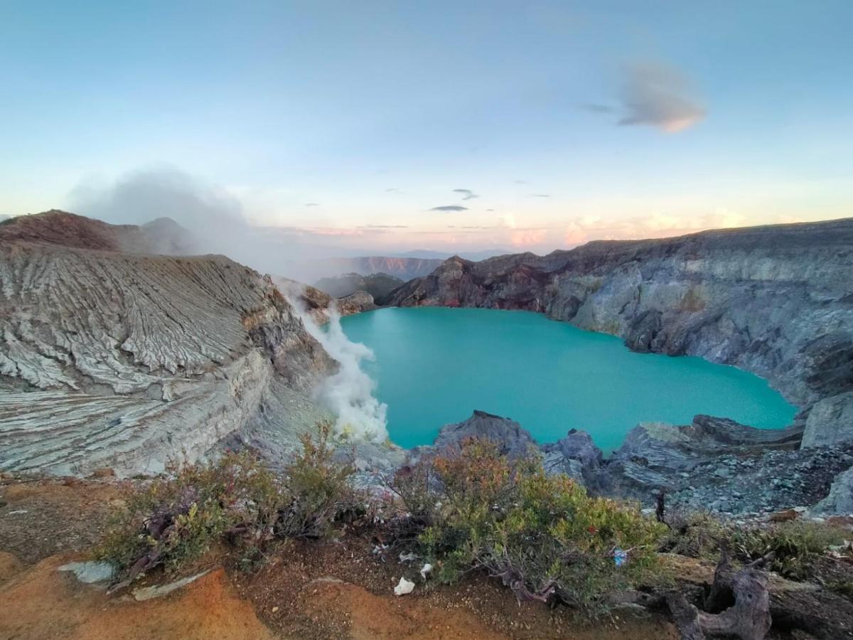 Javalindra Homestay Tour And Travel Banyuwangi  Dış mekan fotoğraf