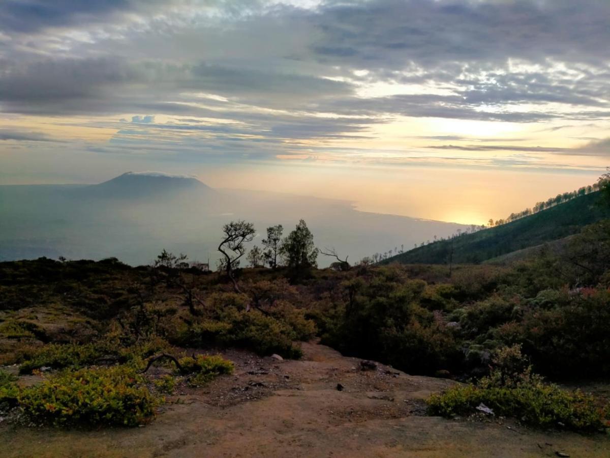 Javalindra Homestay Tour And Travel Banyuwangi  Dış mekan fotoğraf