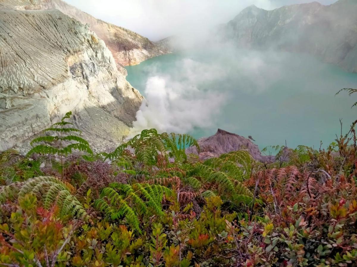 Javalindra Homestay Tour And Travel Banyuwangi  Dış mekan fotoğraf