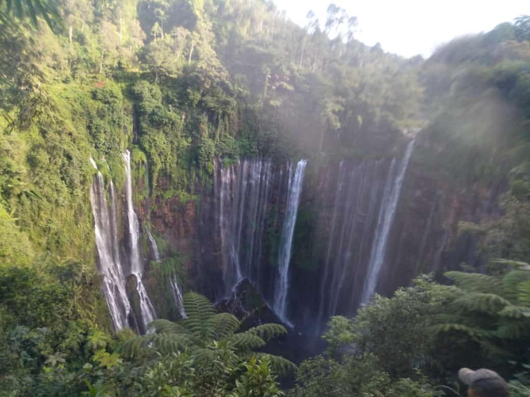 Javalindra Homestay Tour And Travel Banyuwangi  Dış mekan fotoğraf