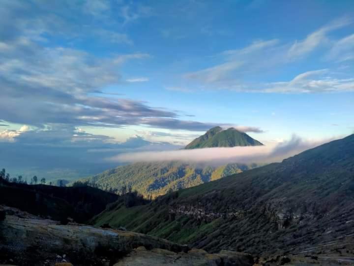 Javalindra Homestay Tour And Travel Banyuwangi  Dış mekan fotoğraf