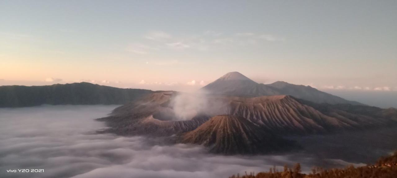 Javalindra Homestay Tour And Travel Banyuwangi  Dış mekan fotoğraf