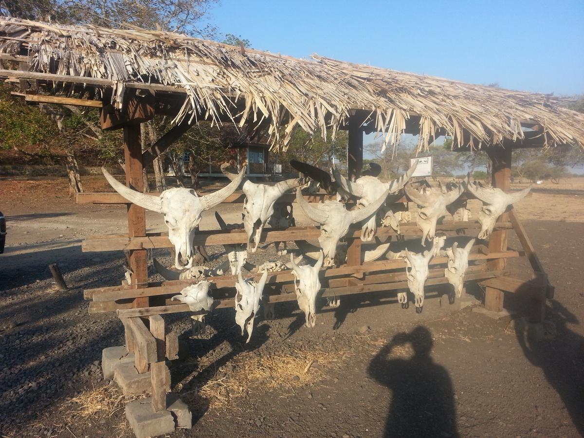 Javalindra Homestay Tour And Travel Banyuwangi  Dış mekan fotoğraf