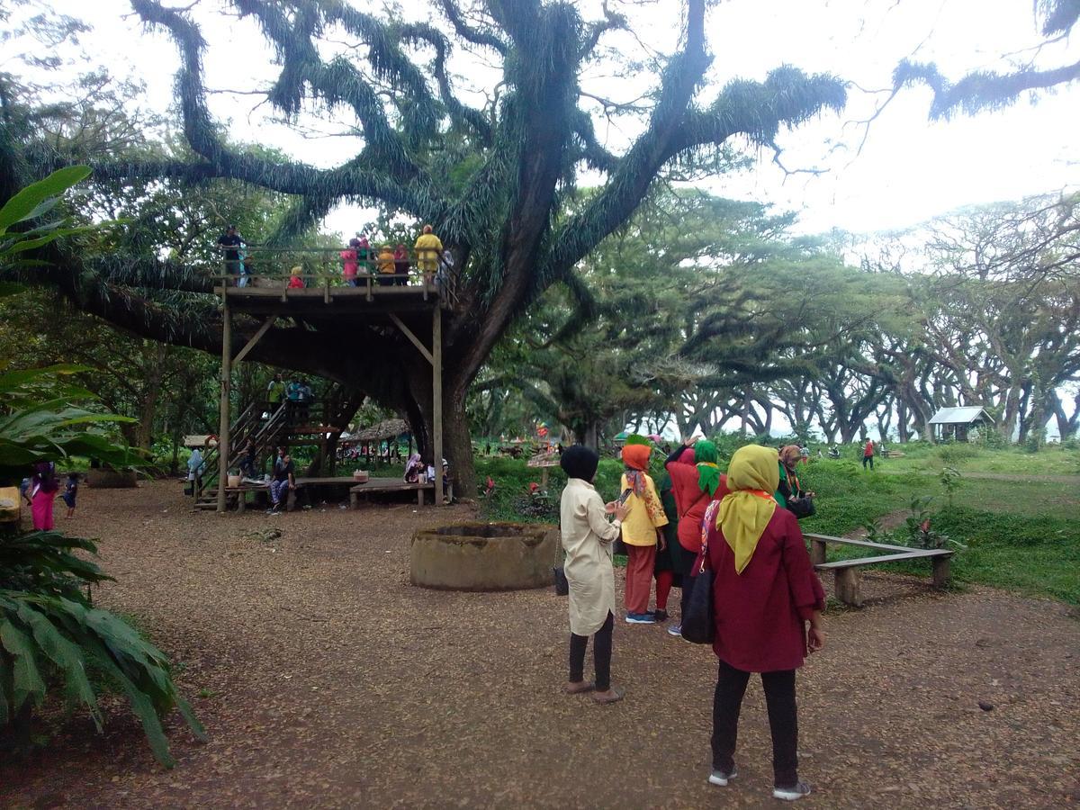 Javalindra Homestay Tour And Travel Banyuwangi  Dış mekan fotoğraf